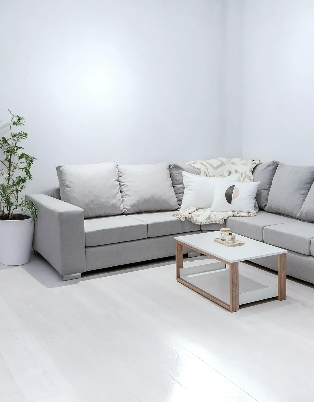 A bright living room with a grey corner sofa, a white coffee table and a plant by the wall