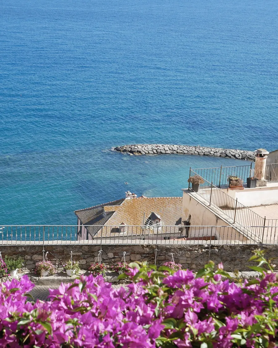 The harbour wall and old rooftops below the house, with bougainvillea in front and blue sea
