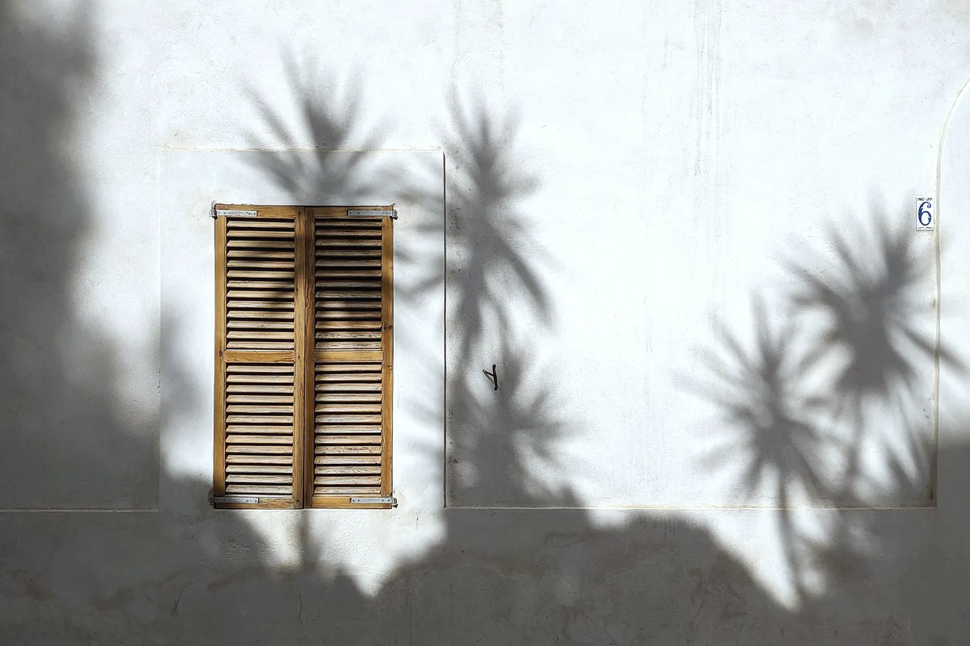 A wooden shutter on a white wall, with the shadows of palm leaves around it