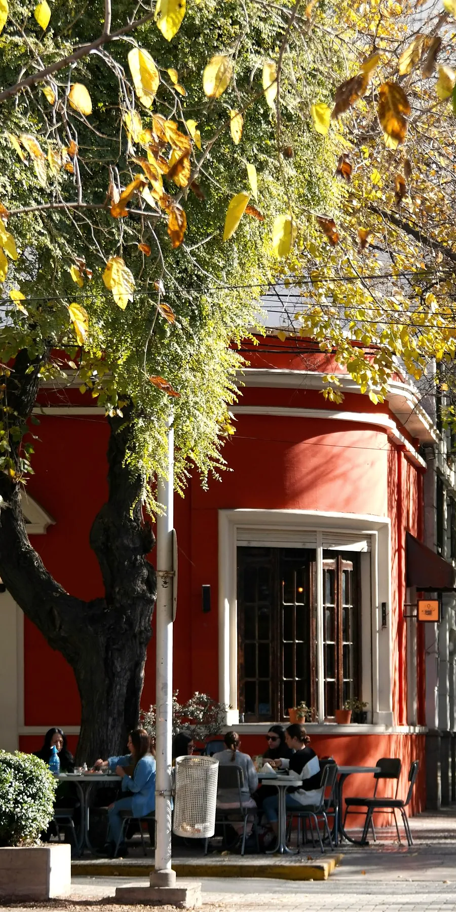 The red corner building at 1 Alder Street, with people at the pavement tables under the trees