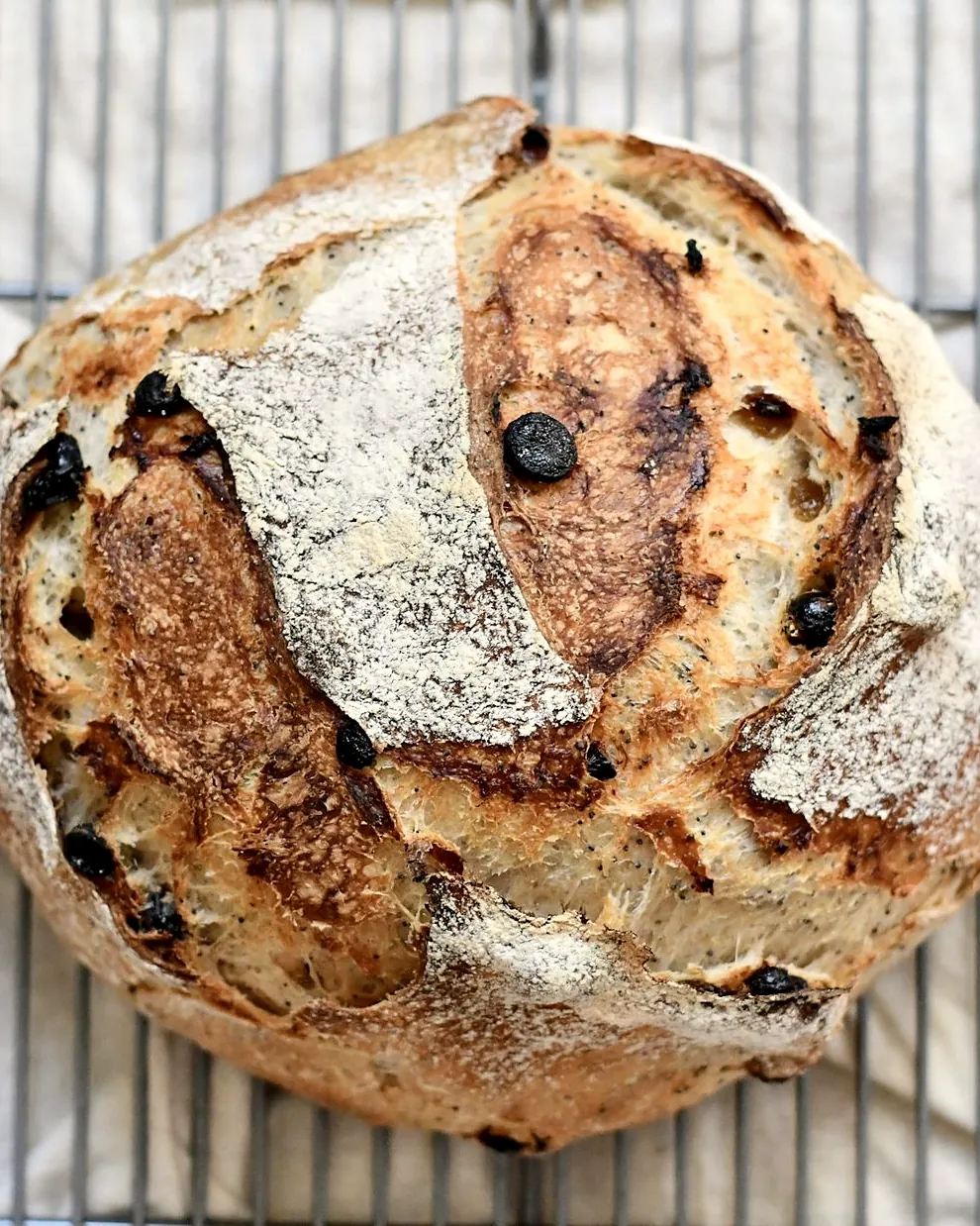 A round fig and raisin loaf on a cooling rack, seen from above
