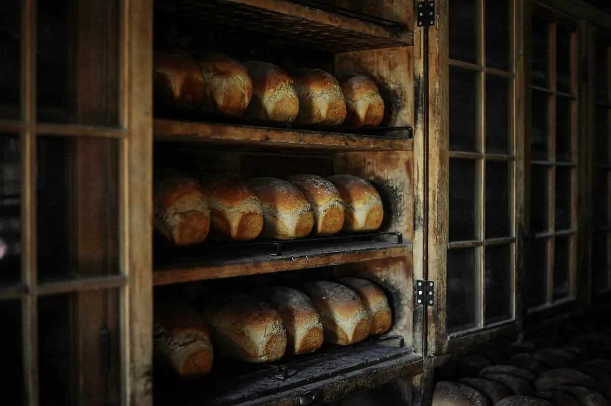 Loaves of bread resting on wooden shelves in the dark bakery after closing