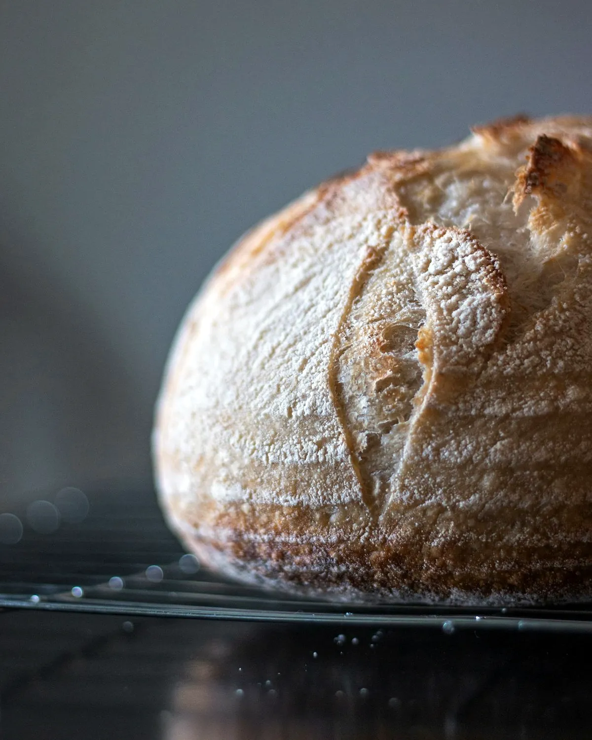 A floured wheat and rye boule on a dark shelf
