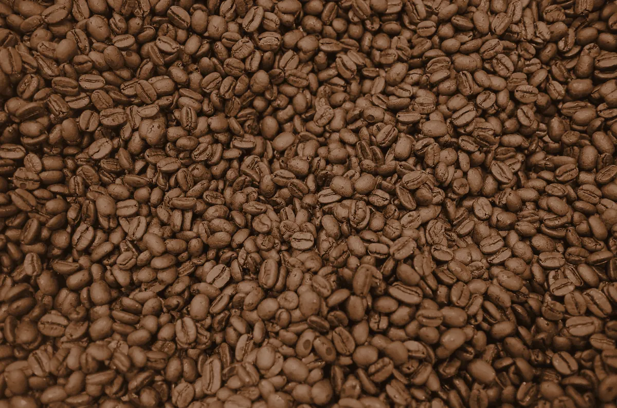 Close up of coffee beans, coloured to show how they look at this point of the roast