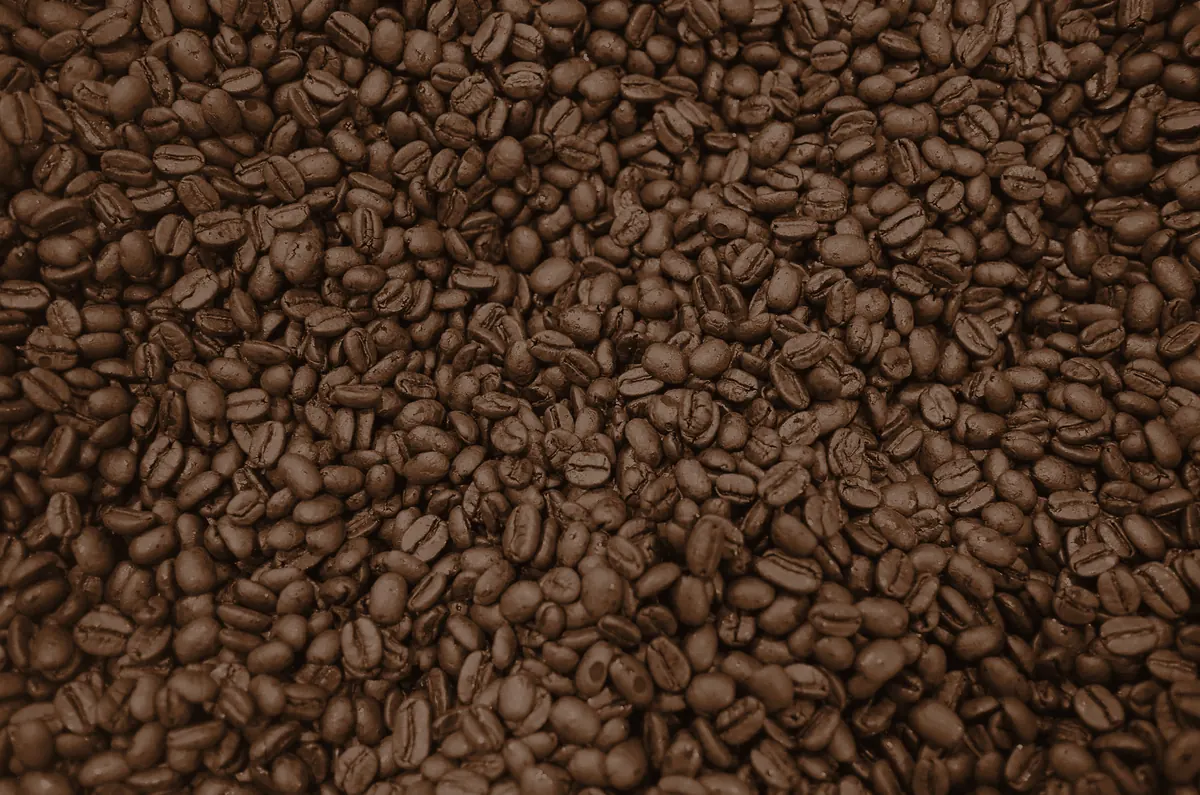 Coffee beans coloured to show this roast