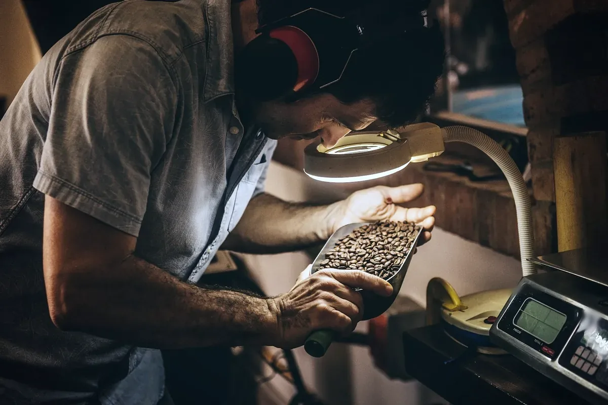 The roaster checking a scoop of beans from the drum under a magnifying lamp