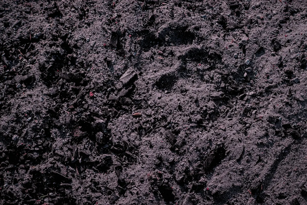 Grey wood ash with small pieces of charcoal