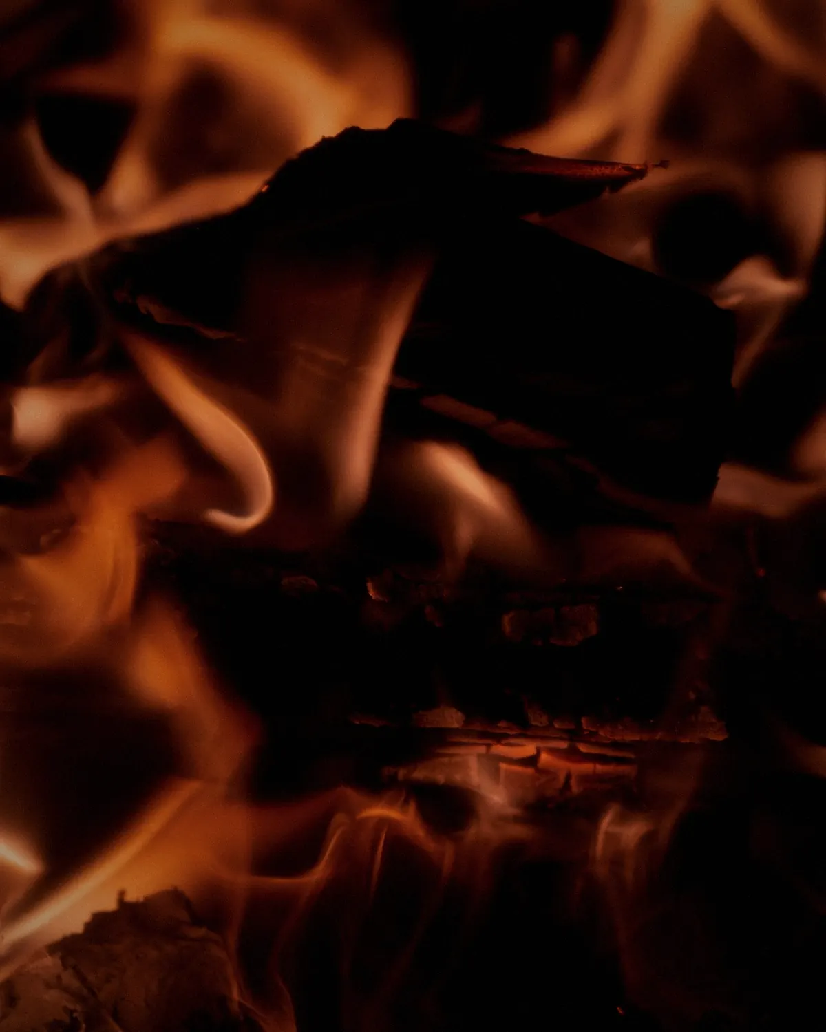 Close view of flames wrapping around a log