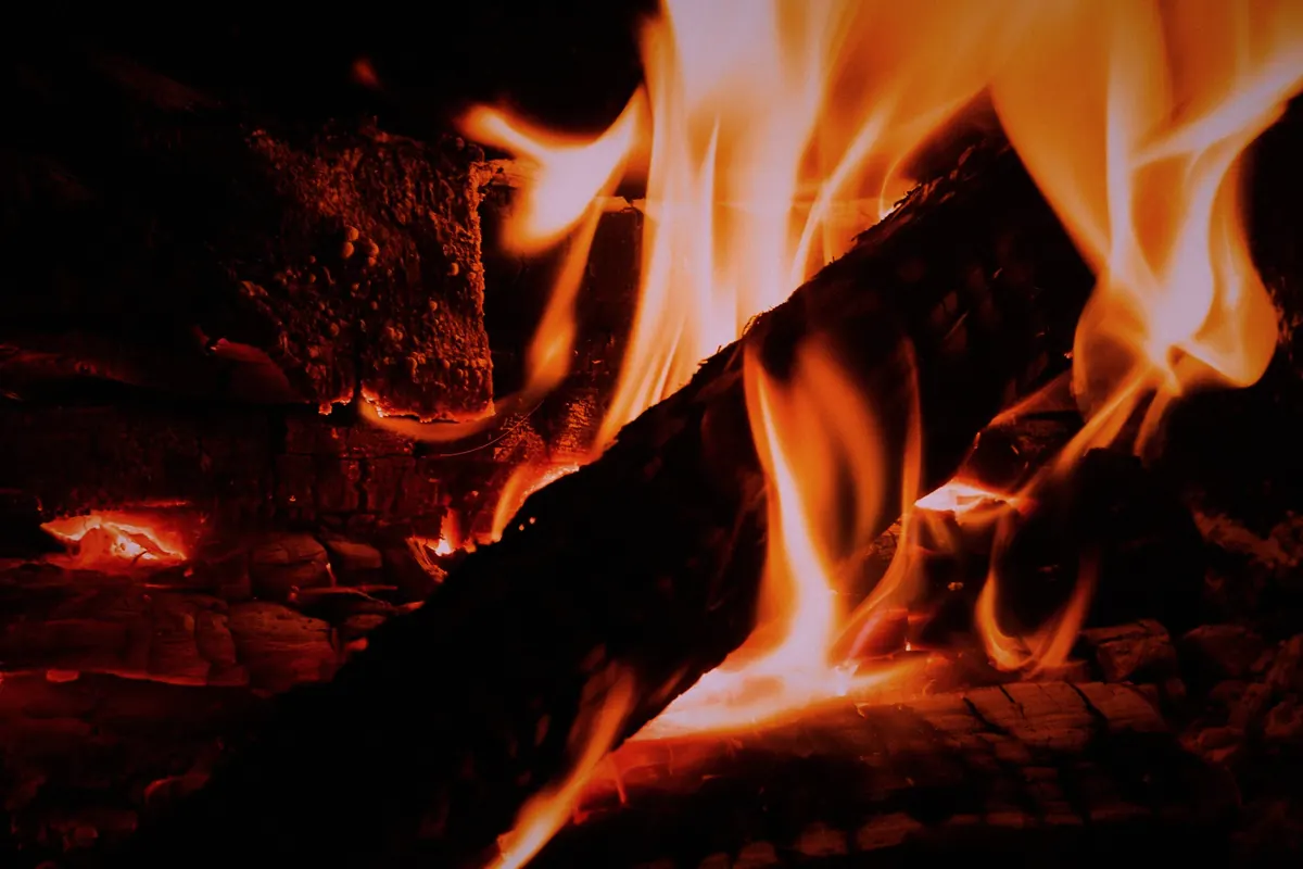 A split oak log burning, with flames running along its length