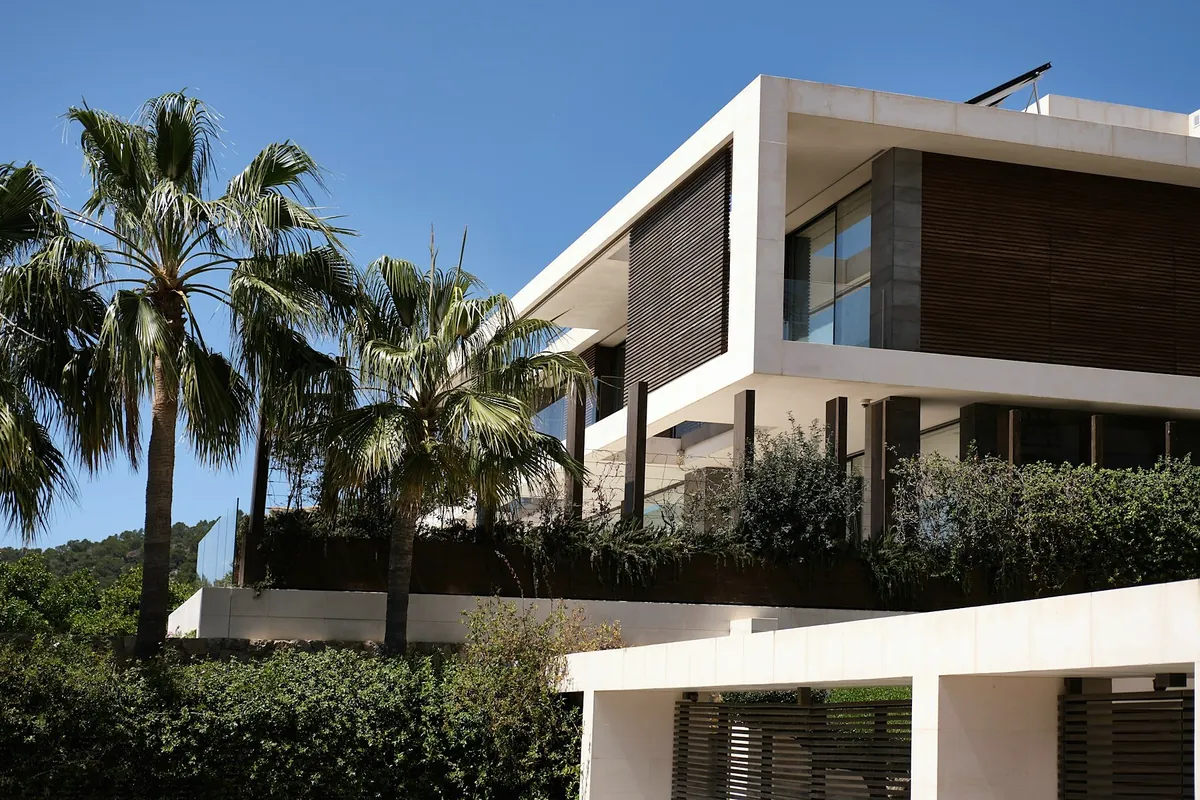 The street side of a white concrete house with a dark timber screen, behind palm trees and a planted wall