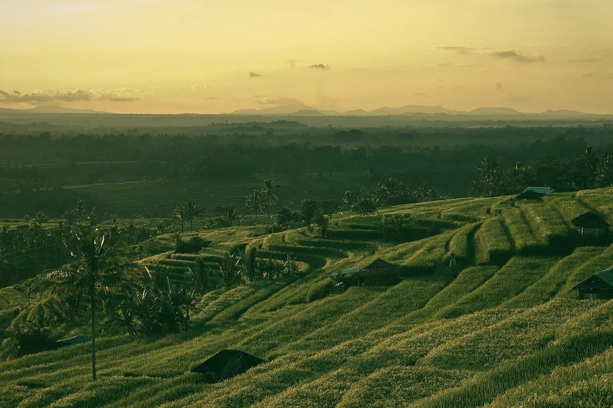 Rice terraces stepping down to a wide plain under a pale gold evening sky