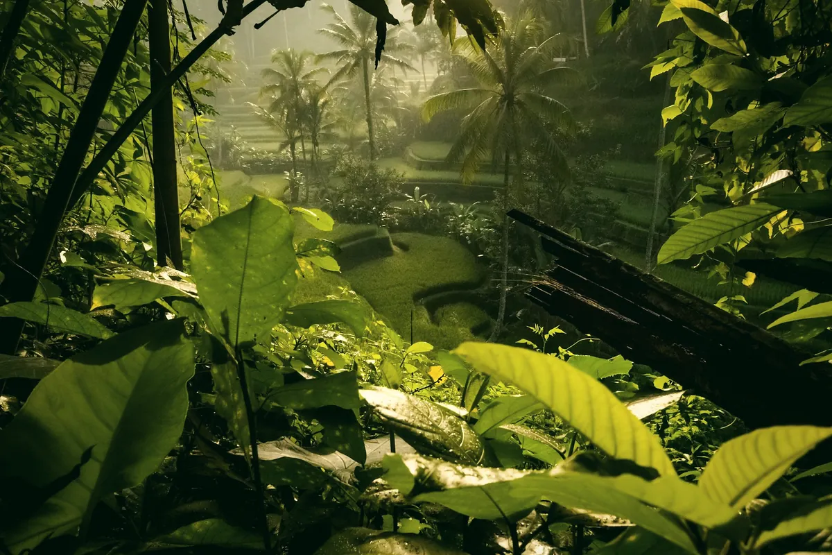 A jungle path with large leaves in the foreground and rice terraces in soft light beyond