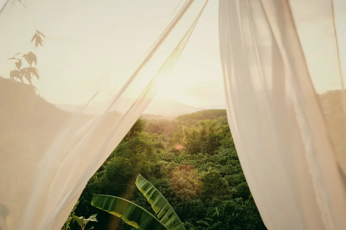 White curtains drawn back from an open window onto a forested valley at sunrise