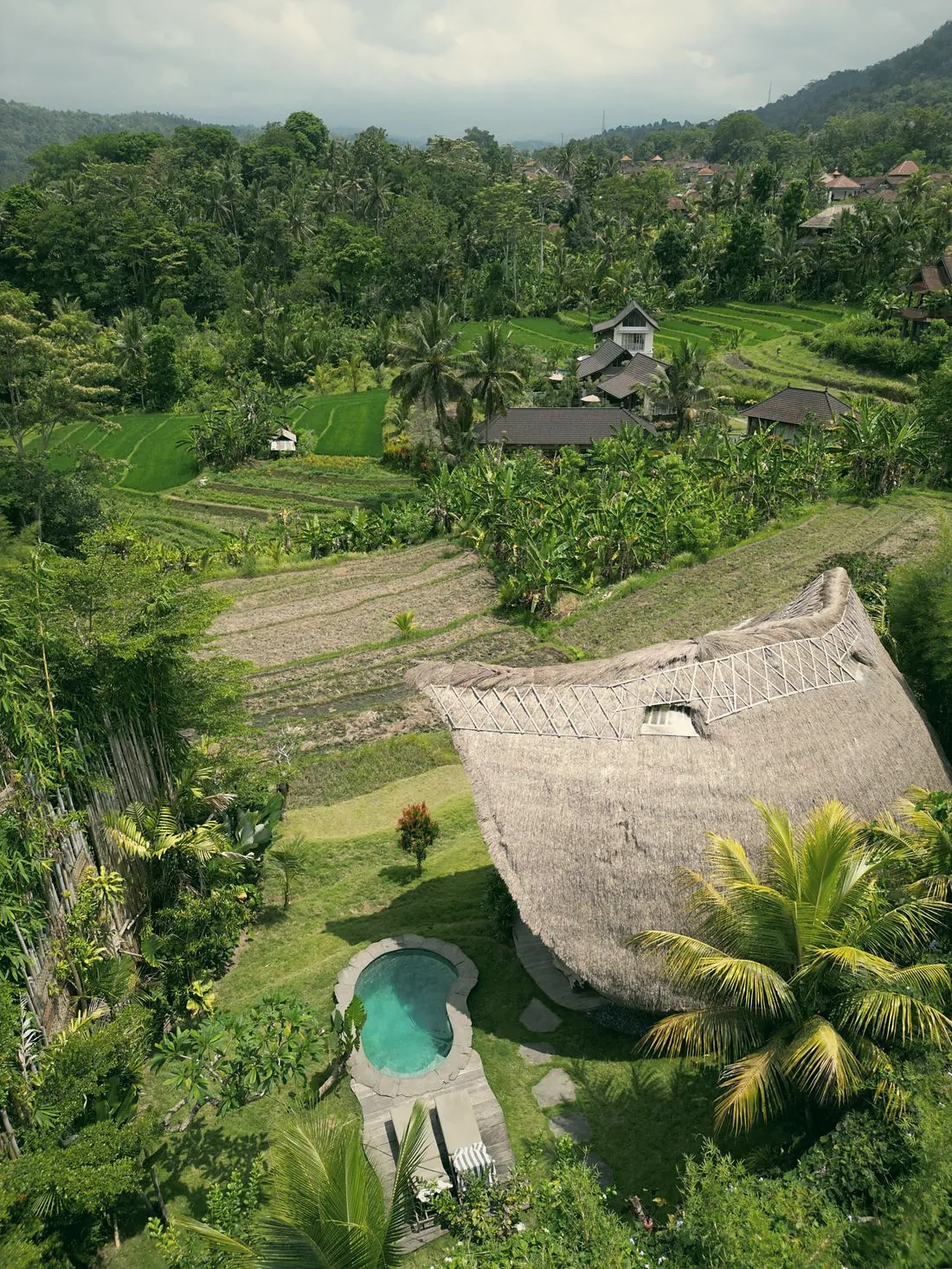 A thatched roof among palm trees and a small round pool, with rice fields and hills behind