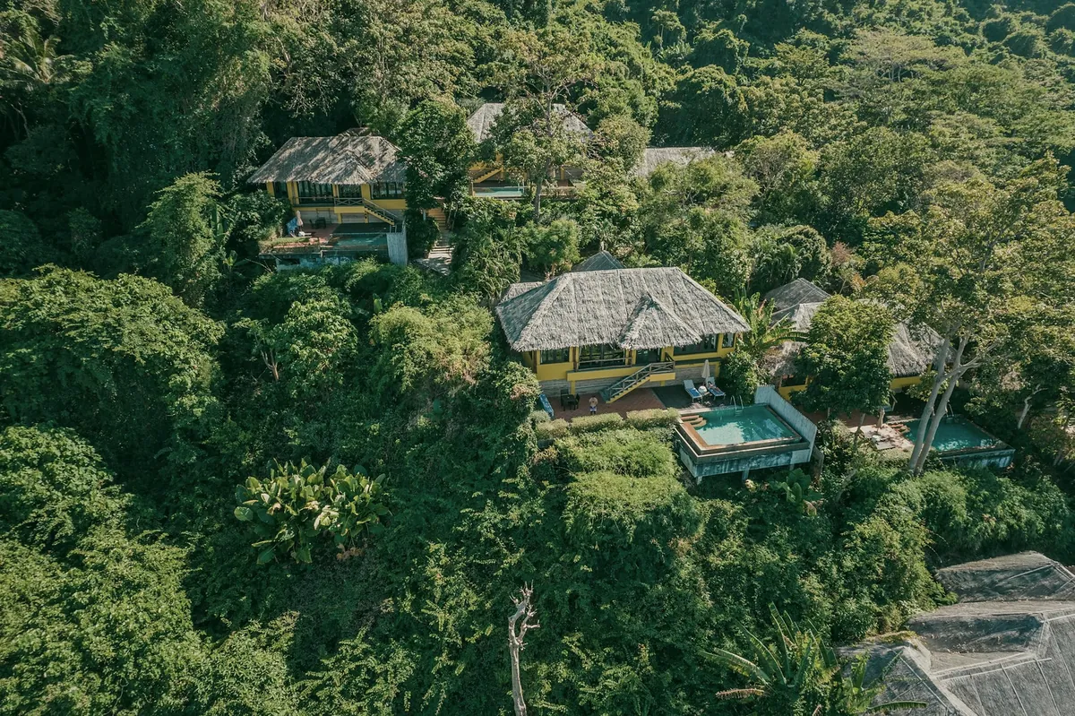 Villas with grass roofs and private pools on a forested hillside, seen from above