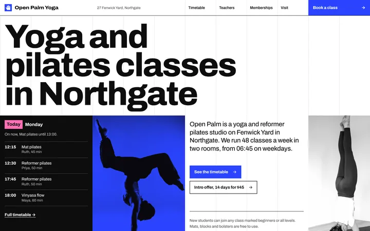 Home page of the Open Palm Yoga example site